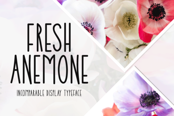 Fresh Anemone: A Joyful Display Font for Creative Expression