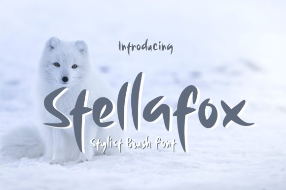 Stellafox: A Stylish and Functional Display Font for Professional Use